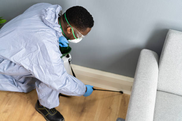 Best Pest Exclusion Services  in Farmington, MO